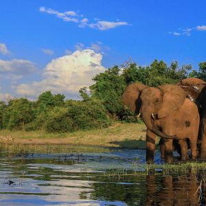 South Africa: Cape Town to Kruger National Park