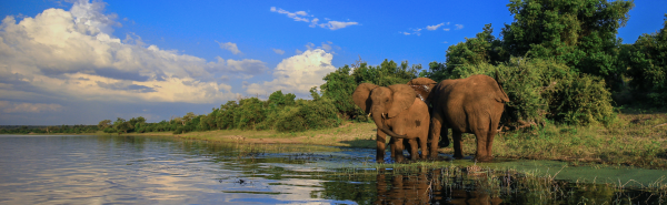 South Africa: Cape Town to Kruger National Park