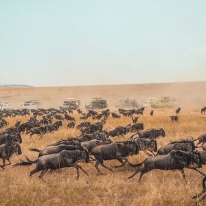 Kenya Wildlife Safari: Mount Kenya, Maasai Mara & Amboseli